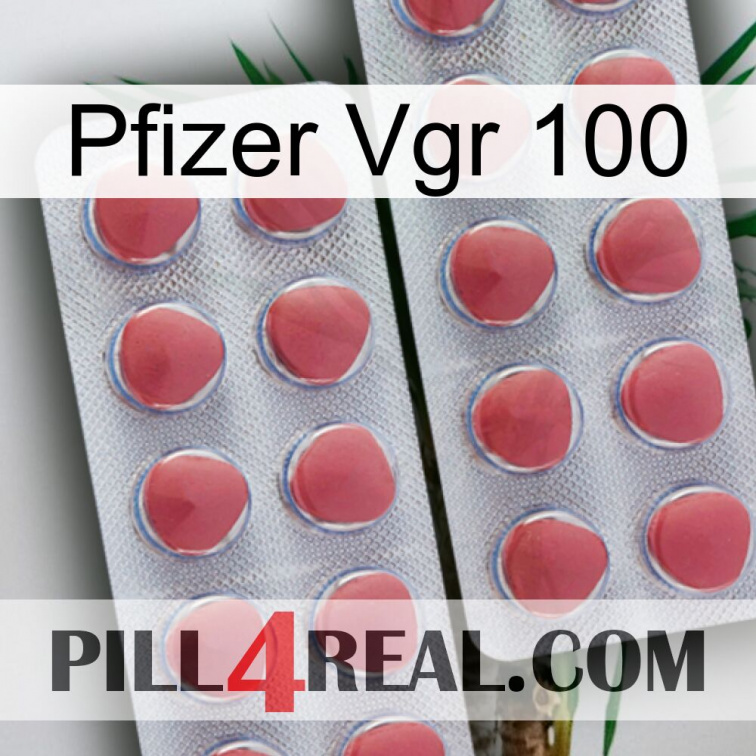 Pfizer Vgr 100 19